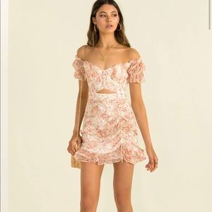 Sundae Muse Marcelle Dress - Tags on